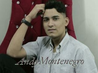 AndyMontenegro