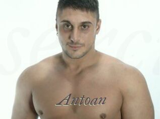 Antoan