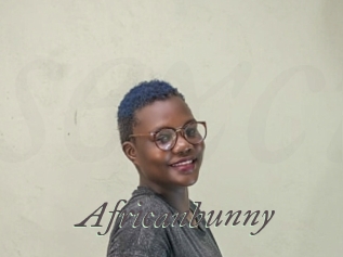 Africanbunny