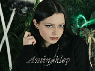 Aminaklep