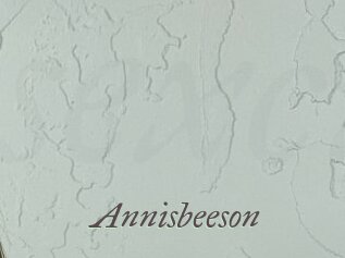 Annisbeeson