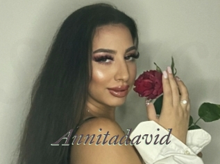 Annitadavid