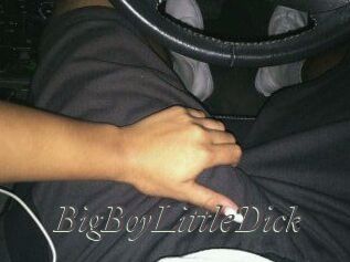 BigBoyLittleDick