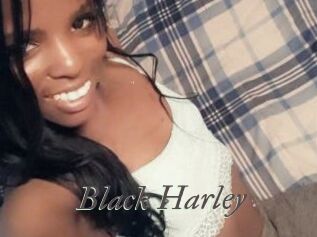 Black_Harley