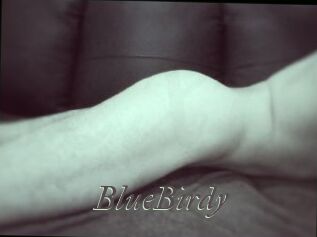 BlueBirdy