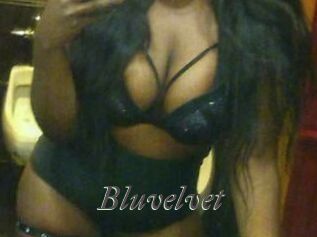 Bluvelvet