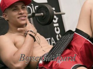 Boysensualhard