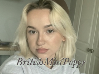 BritishMissPoppy