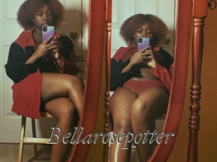 Bellarosepotter