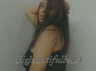 Bigbeautifulbeast