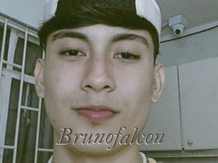 Brunofalcon