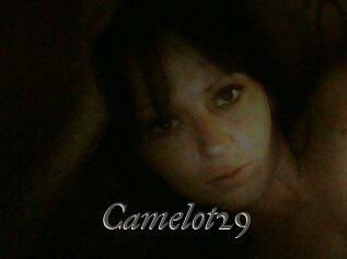 Camelot29