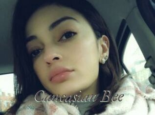 Caucasian_Bee