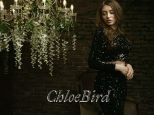 ChloeBird