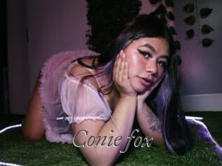 Conie_fox