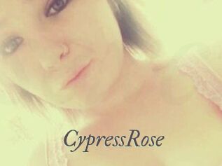 Cypress_Rose