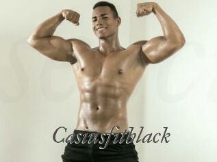 Casiusfitblack