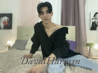 DavidHarmyn