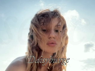 Daisyburge