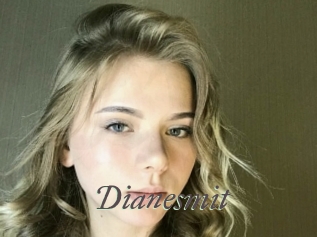 Dianesmit