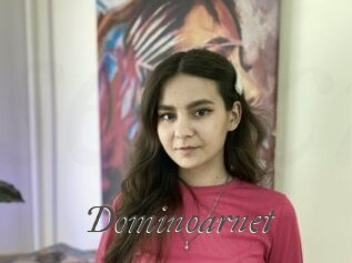 Dominoarnet