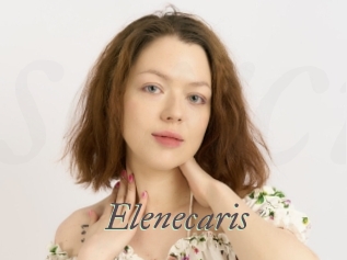 Elenecaris