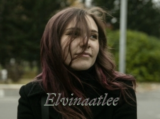 Elvinaatlee