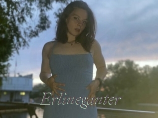 Erlineganter