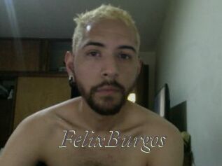 FelixBurgos