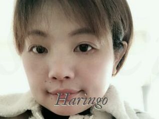 Haringo