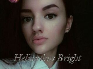 Helianthus_Bright