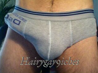 Hairygay9iches