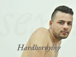 Hardhornyboy