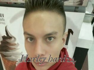 Harley_hard24