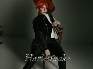 Harleysnake