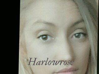 Harlowrose