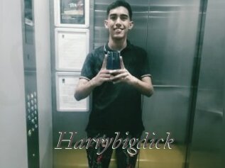 Harrybigdick