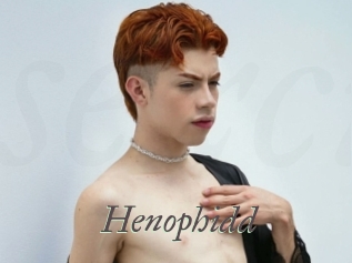 Henophidd