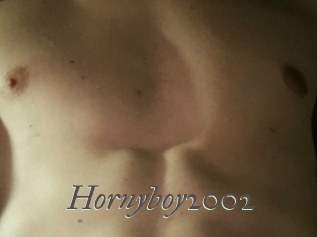 Hornyboy2002