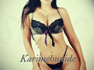 Karimehunide
