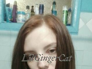 LilGingerCat