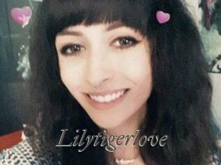 Lilytigerlove