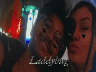 Laddybug