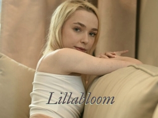 Lillabloom