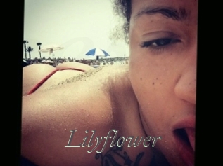 Lilyflower