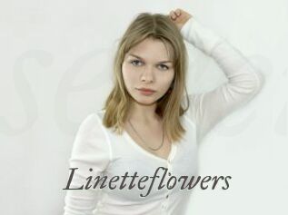 Linetteflowers