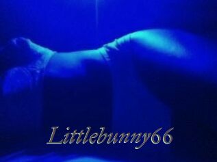 Littlebunny66