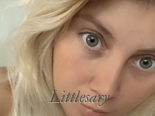 Littlesary