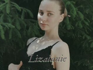 Lizalanie