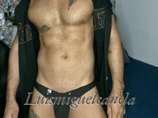 Luismiguelcanela